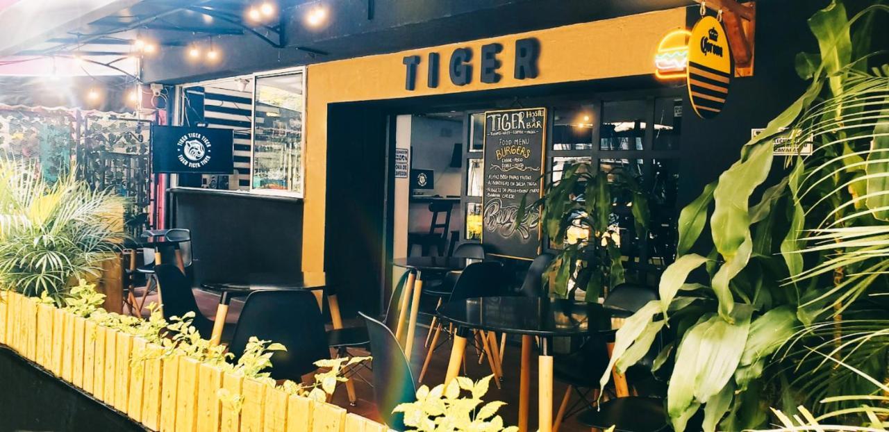 Tiger Hostel Medellin Bagian luar foto